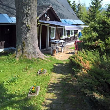 Villa Chata V Srdci Krkonos Kořenov Exterior foto
